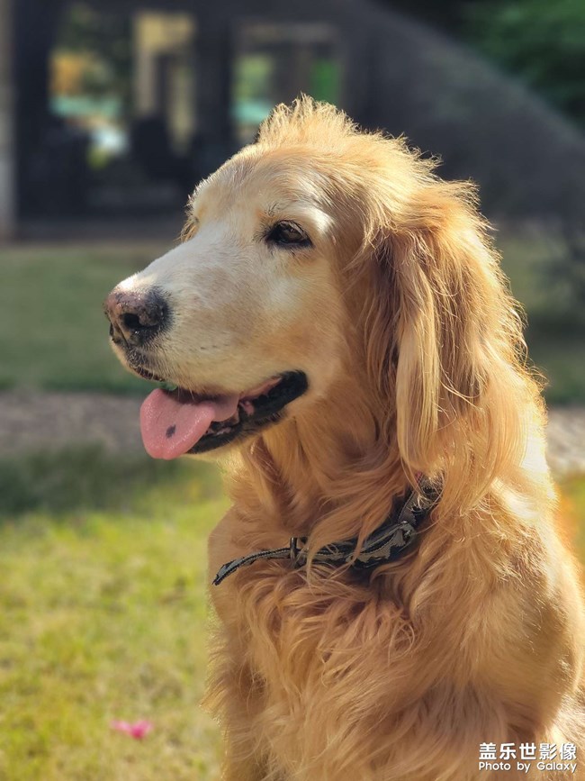 mo姐的晚年生活