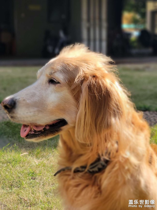 mo姐的晚年生活