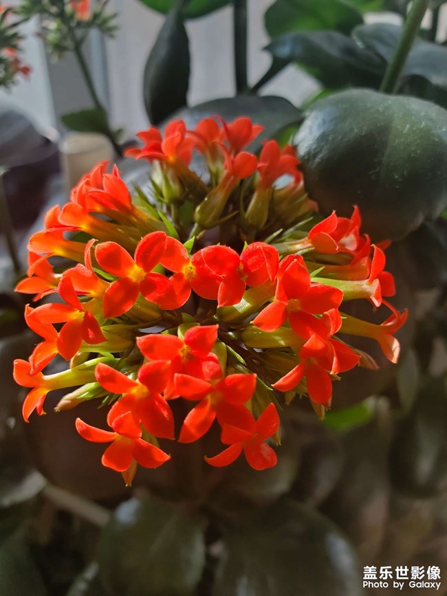 2022.2.2，自己動(dòng)手拋光！