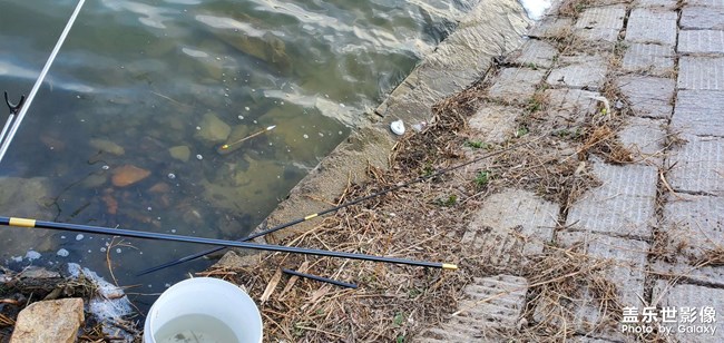 紀(jì)念第一次爆桿之行