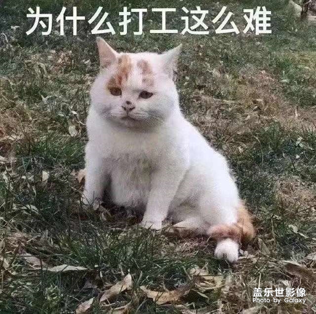 推一個(gè)表情包