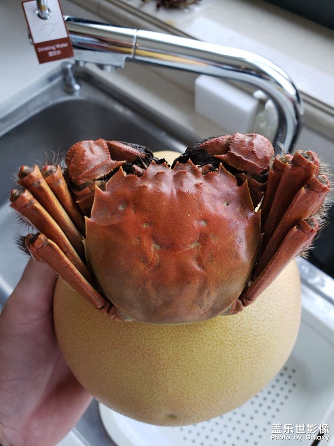 生日快樂
