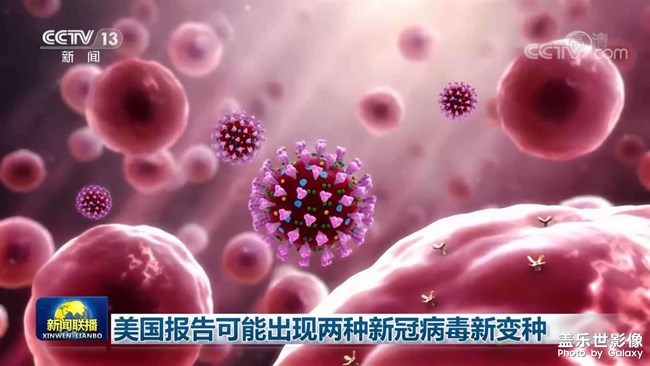 三星官方客服都是中國人