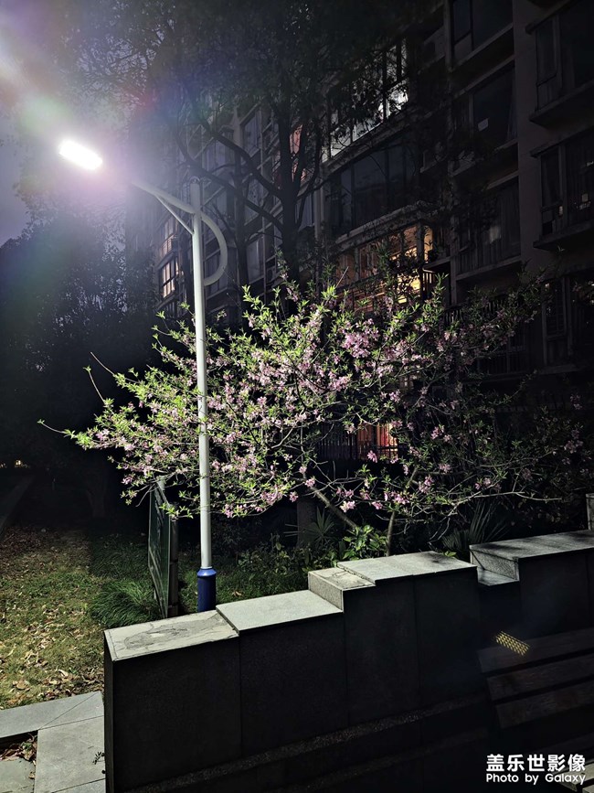 （疫情之下）小區(qū)隨手拍