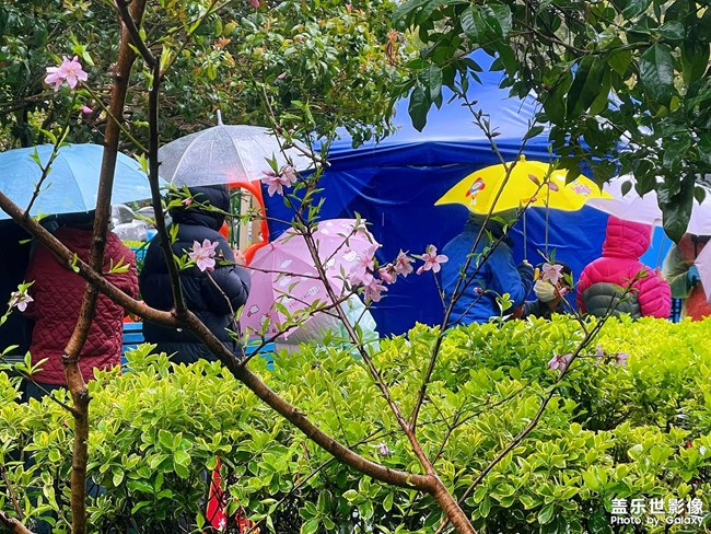 （疫情之下）小區(qū)隨手拍