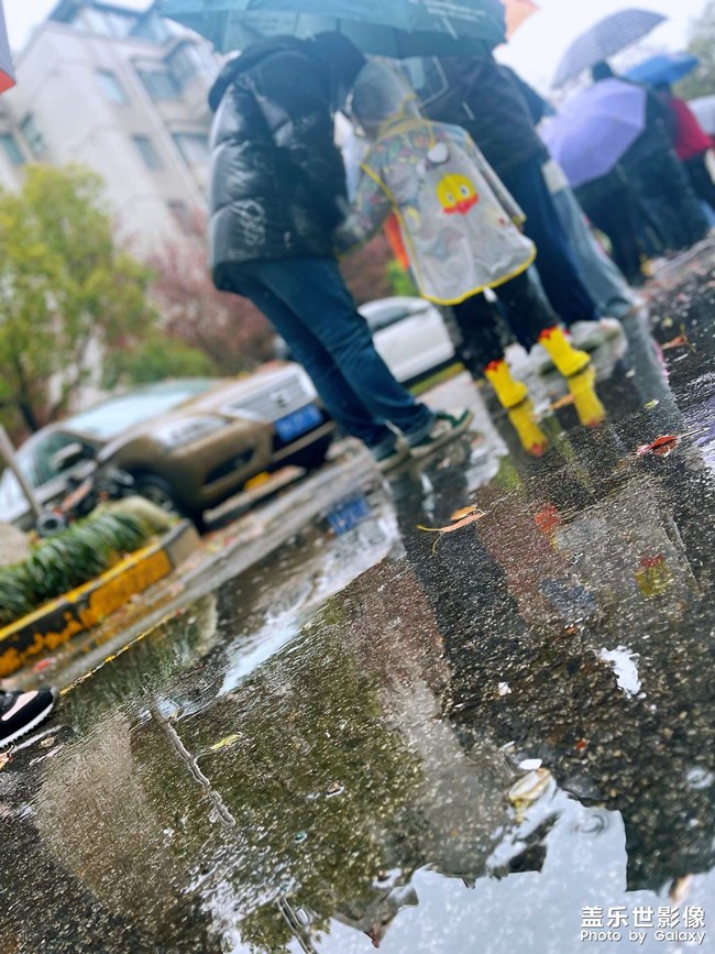 （疫情之下）小區(qū)隨手拍