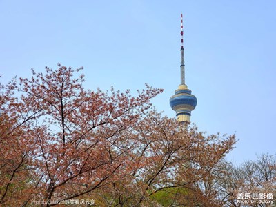 已開獎【蓋樂世影像周賽第234期】——人間四月