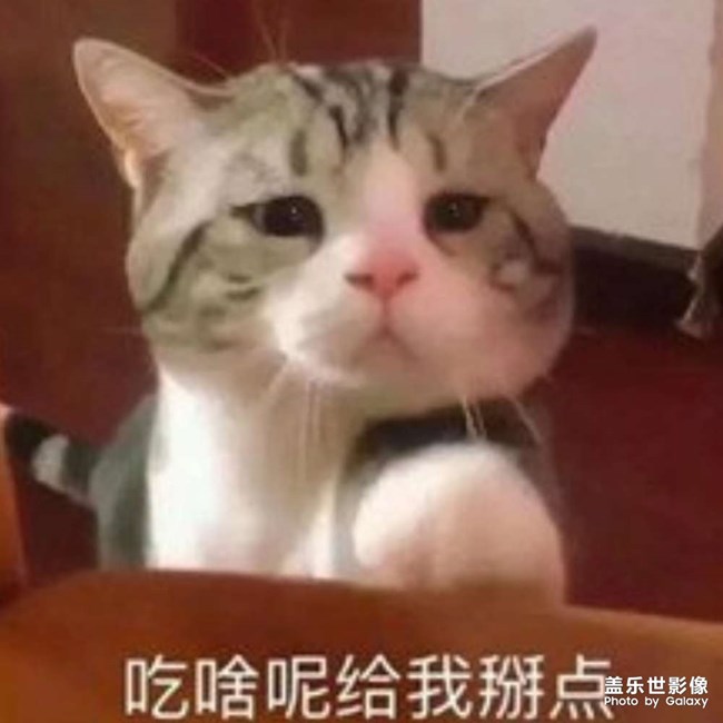 桔子酒店吳海：我活不過(guò)四月份