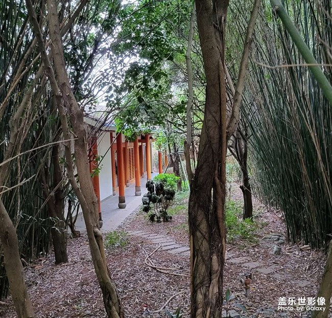 朝鮮冷面繼續(xù)