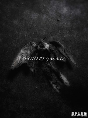 【日常隨拍】+隨手拍記錄生活