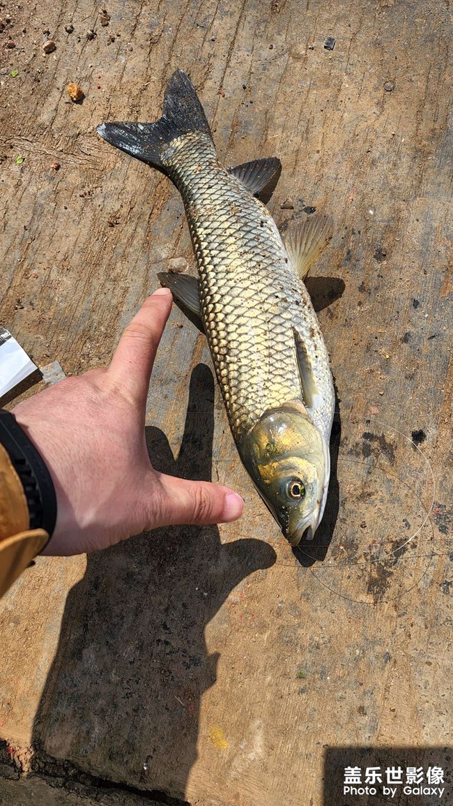 22年第一次黑坑