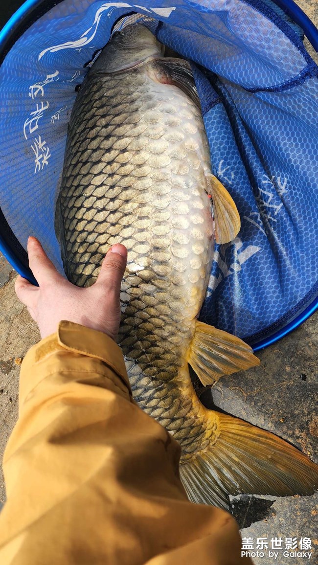 22年第一次黑坑