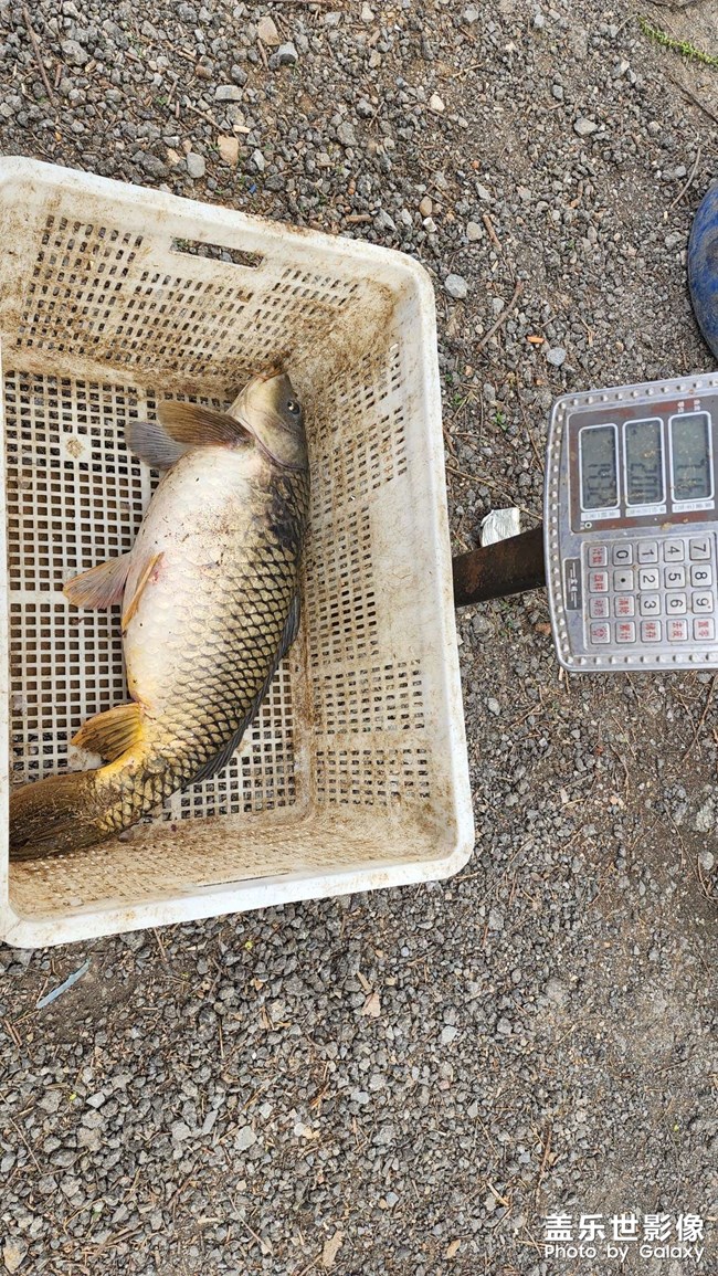 22年第一次黑坑