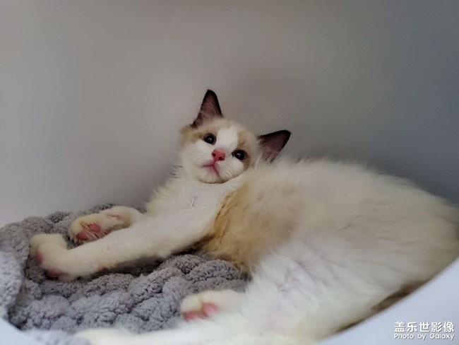 2個(gè)月到1歲的成長記錄