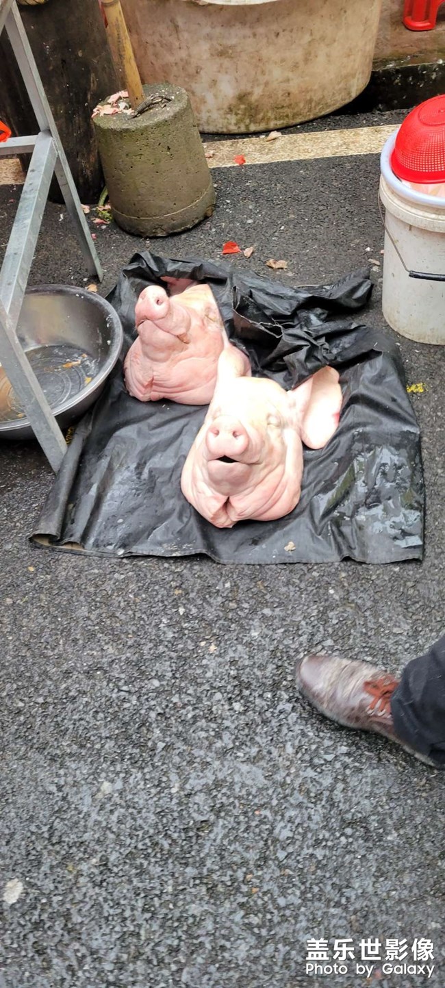 S21  人生百態(tài)，趕集隨拍