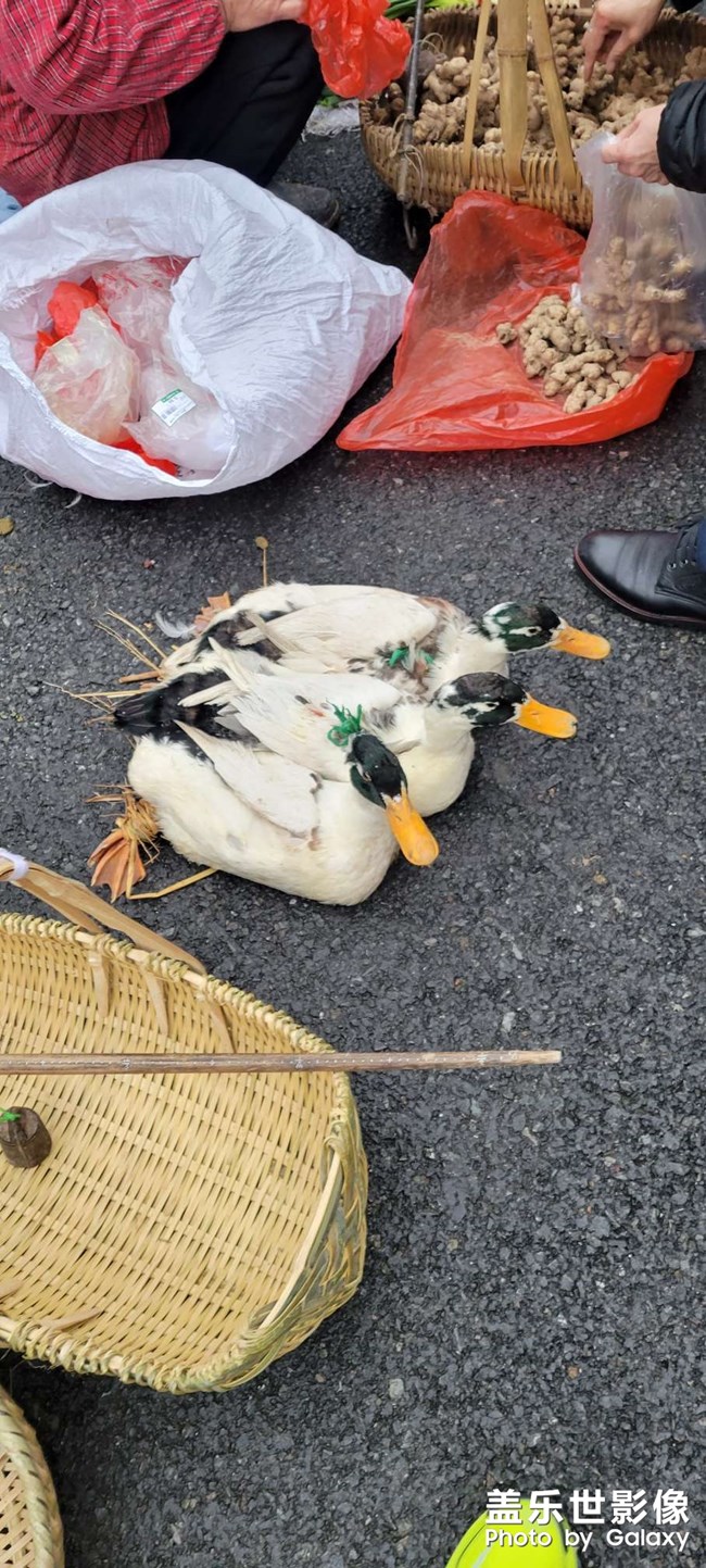 S21  人生百態(tài)，趕集隨拍