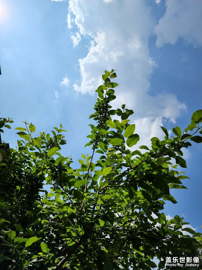 藍(lán)藍(lán)的天空