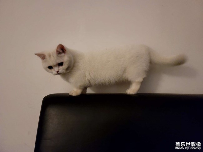生了!