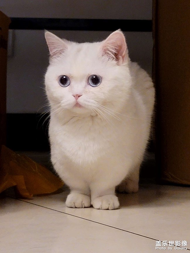 生了!