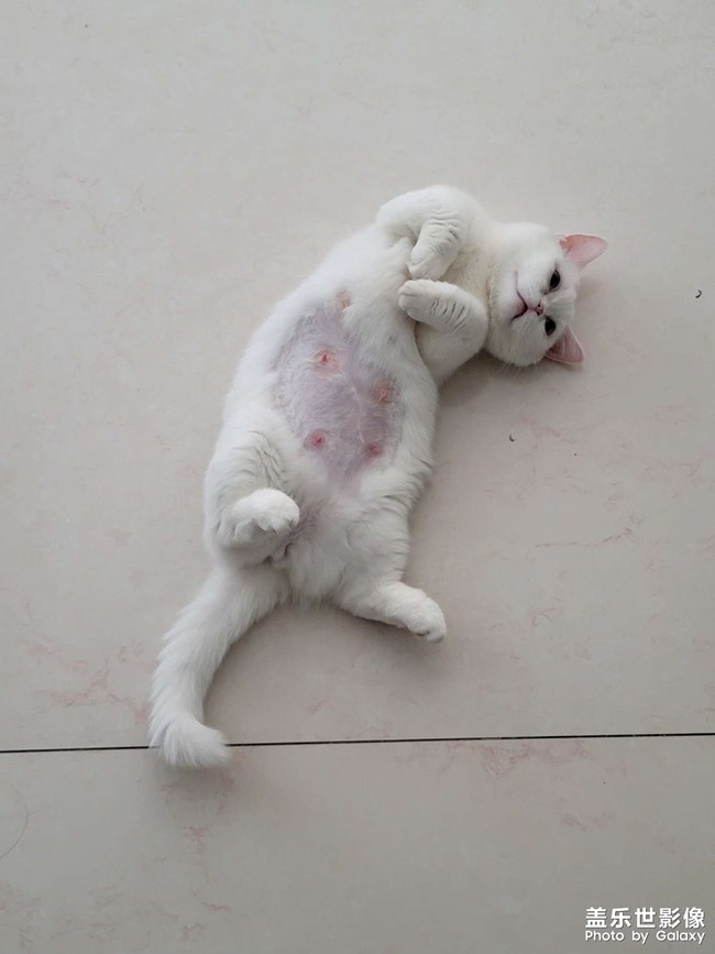 生了!