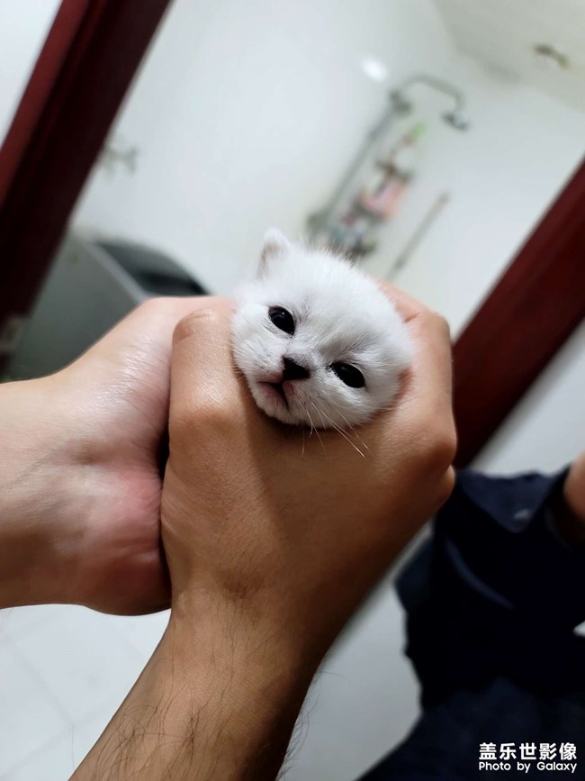 生了!