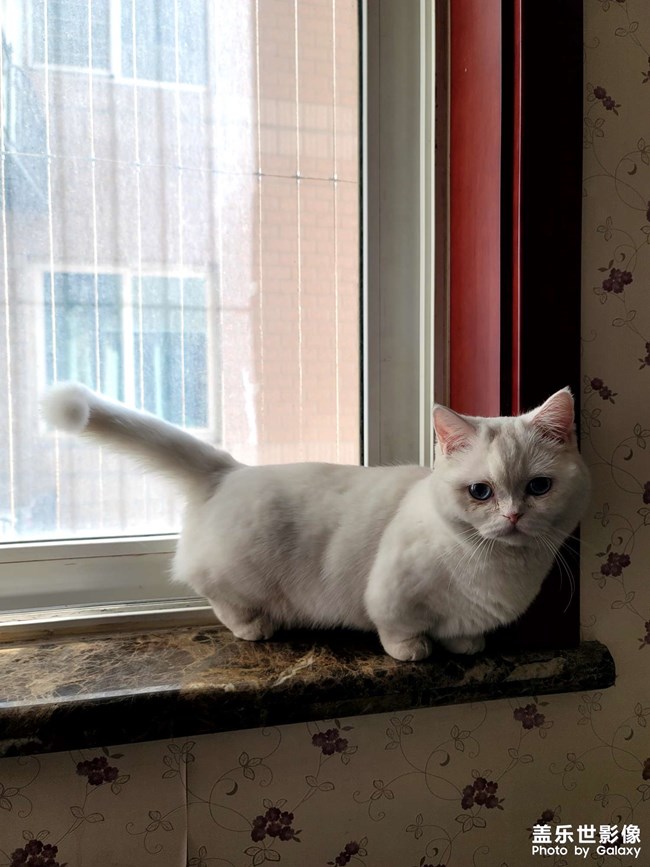 生了!