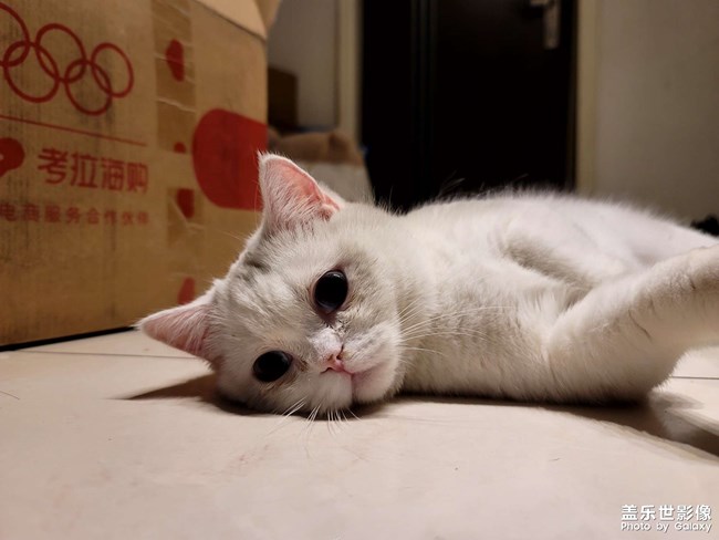 生了!