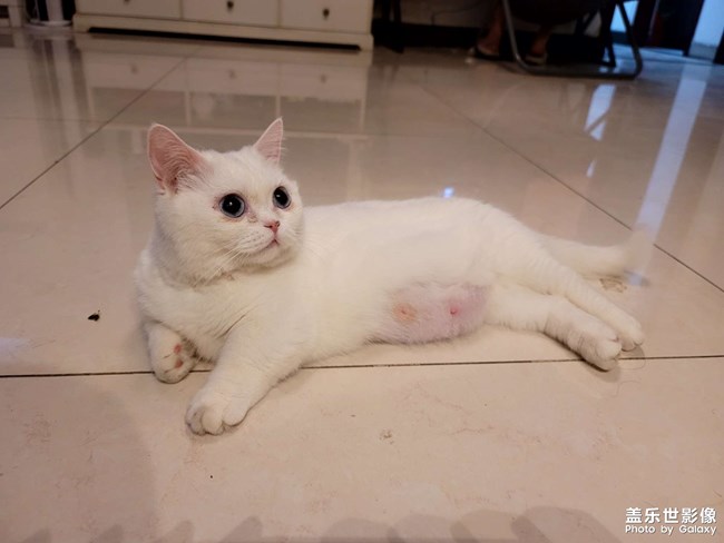 生了!