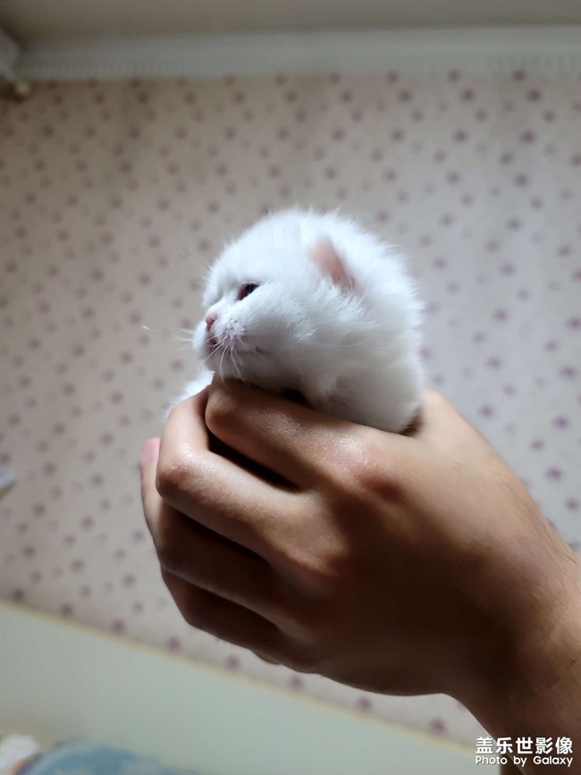 生了!