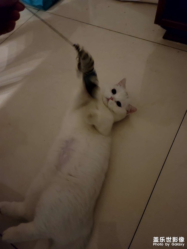 生了!