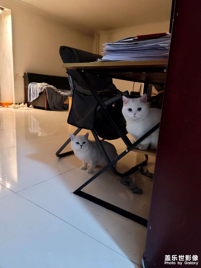 生了!