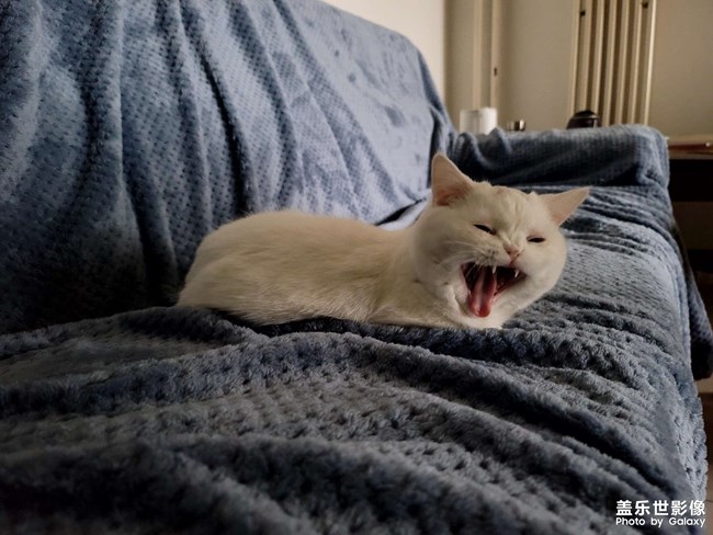 生了!