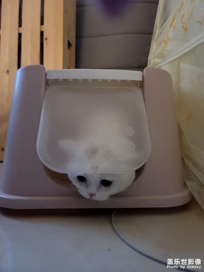 生了!