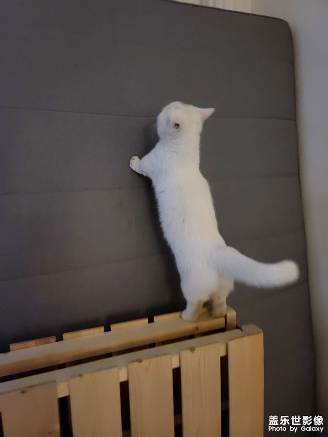 生了!