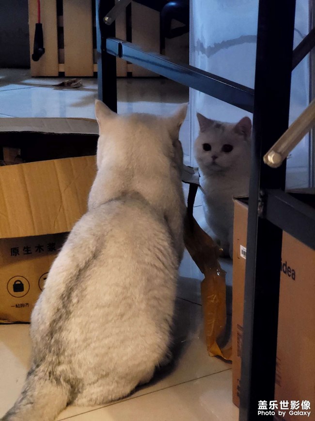生了!