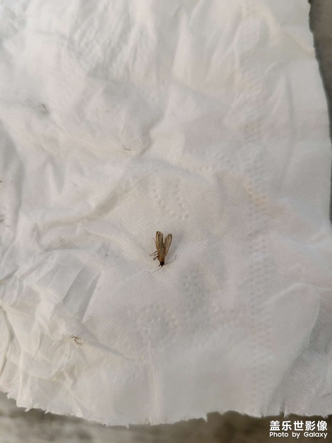 請(qǐng)問大家有沒有知道這是什么