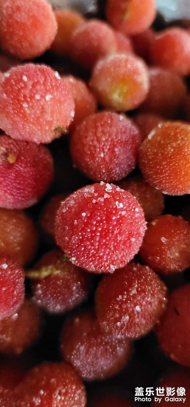 還是喜歡鄉(xiāng)下楊梅的味道