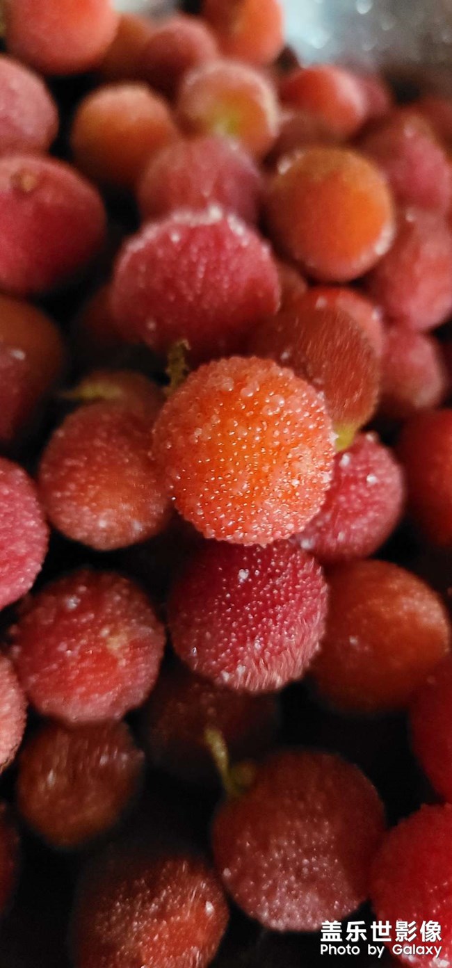 還是喜歡鄉(xiāng)下楊梅的味道