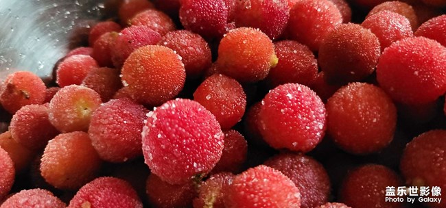 還是喜歡鄉(xiāng)下楊梅的味道