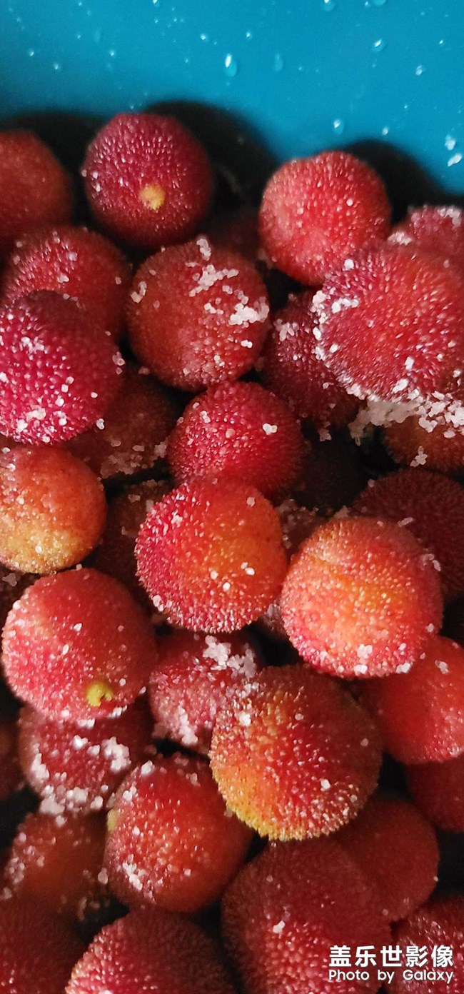 還是喜歡鄉(xiāng)下楊梅的味道