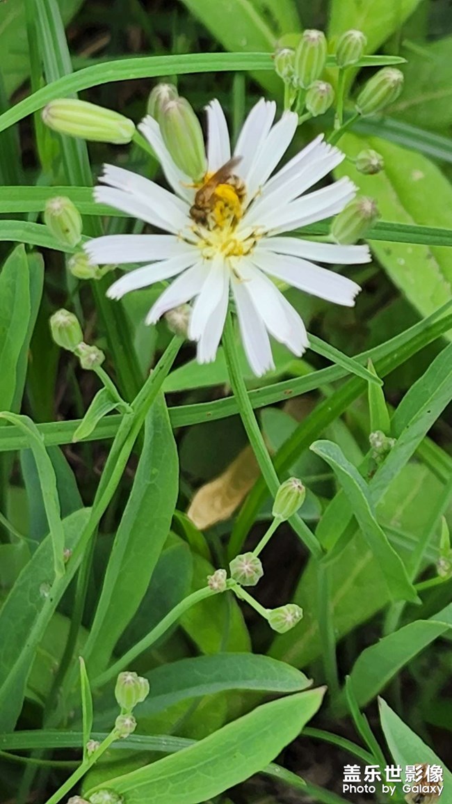 陽光下拍照反光