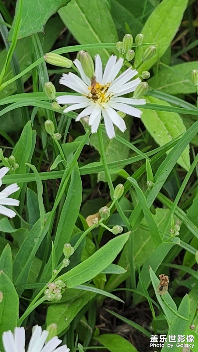 陽光下拍照反光