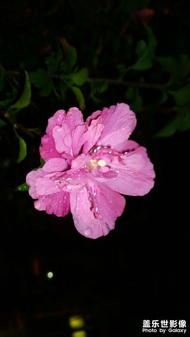 能看出來用什么手機(jī)拍的嗎。