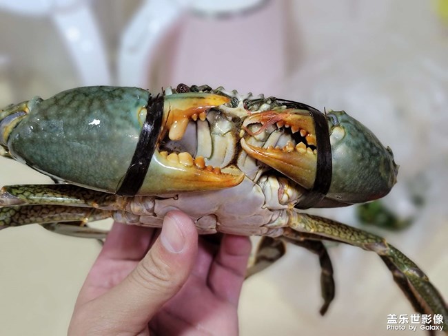 官方不更新，那就自己更新吧