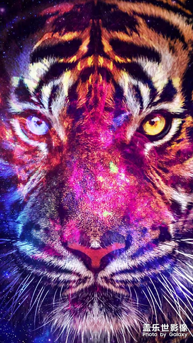 超清圖送給大家