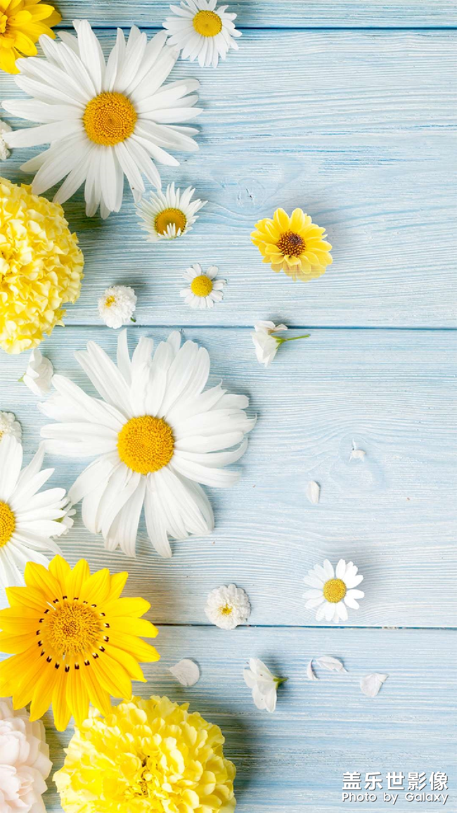 三星主題商店付費(fèi)壁紙