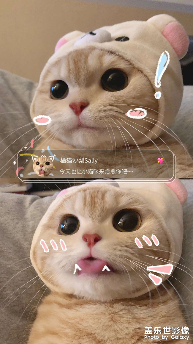 三星主題商店付費(fèi)壁紙