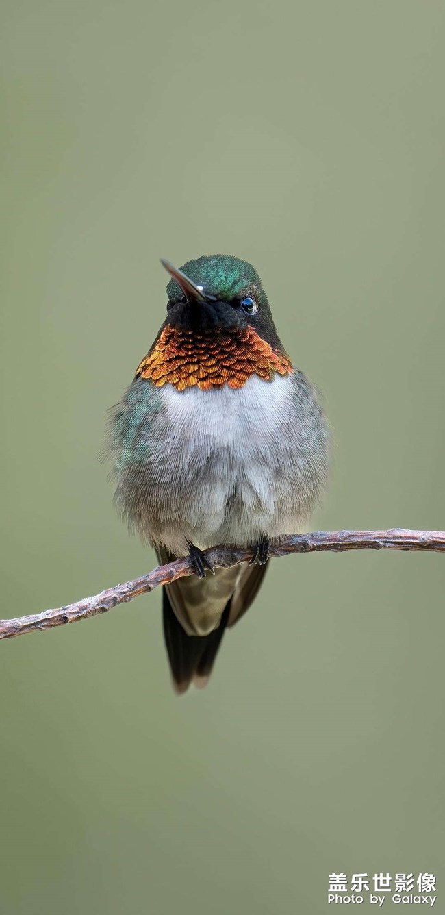 5000萬像素表現(xiàn)