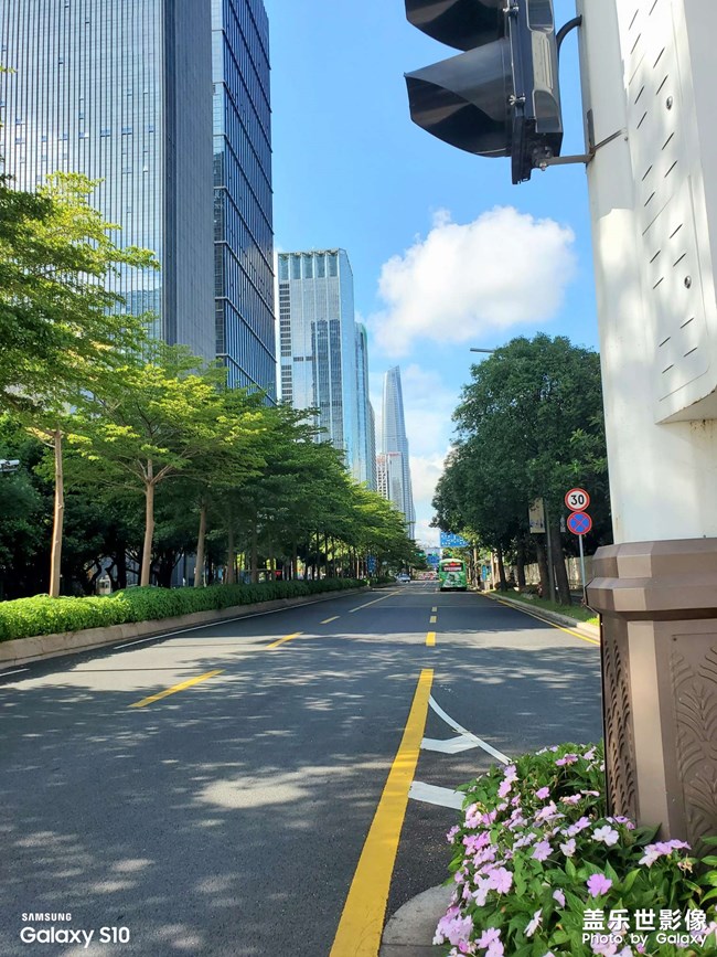 大潮起珠江共和國優(yōu)等生