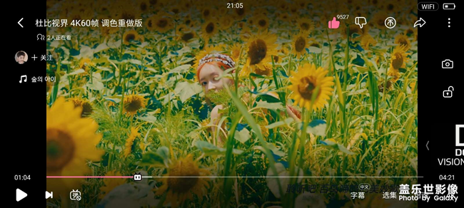 求問(wèn)s21u打開(kāi)杜比視界顏色反而變得慘淡